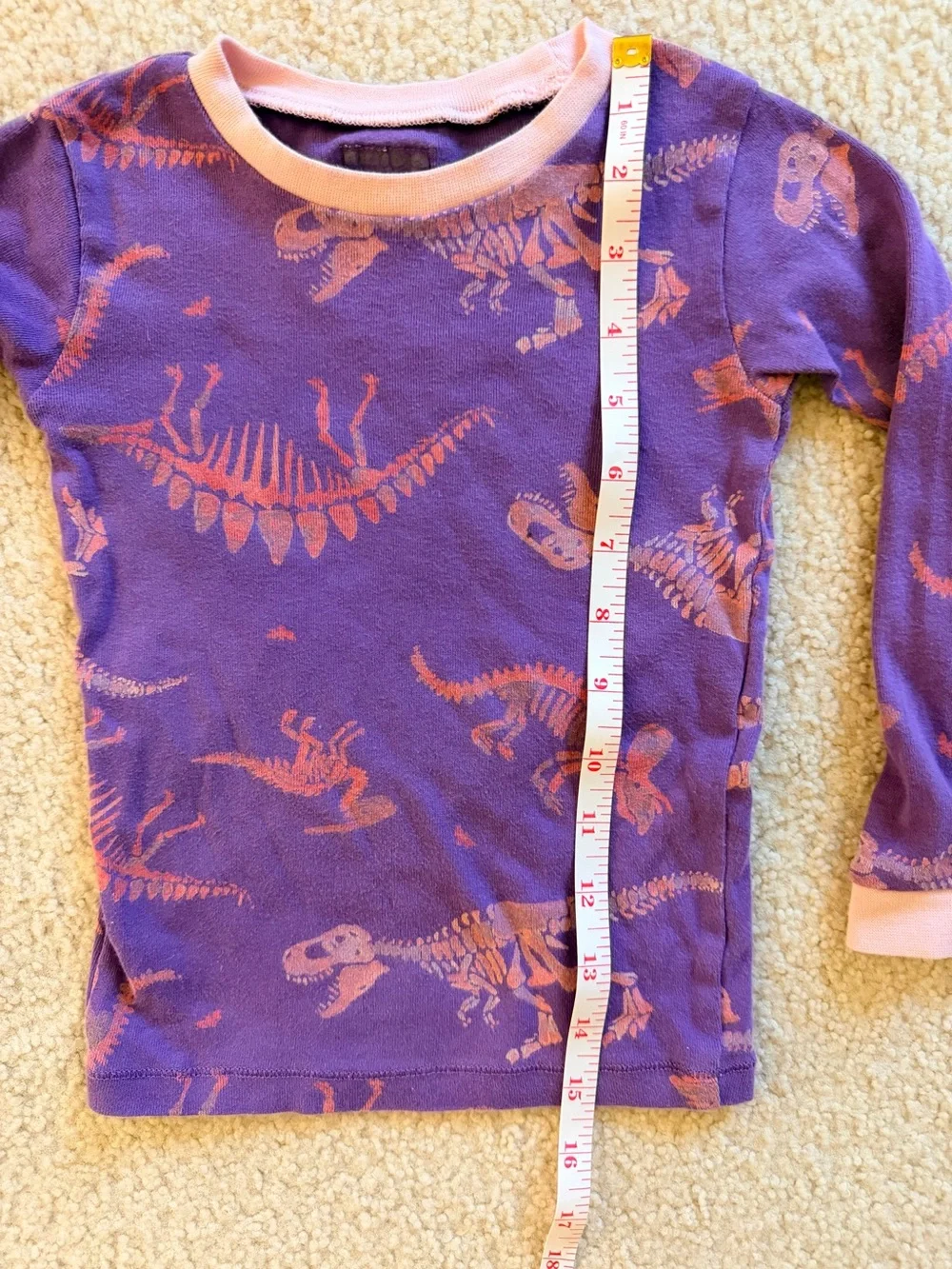 Burt’s Bees Baby 3T Girls Dinosaur Pajama Set